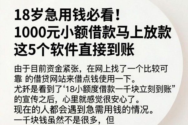 18岁急用钱必看！1000元小额借款马上放款，这5个软件直接到账