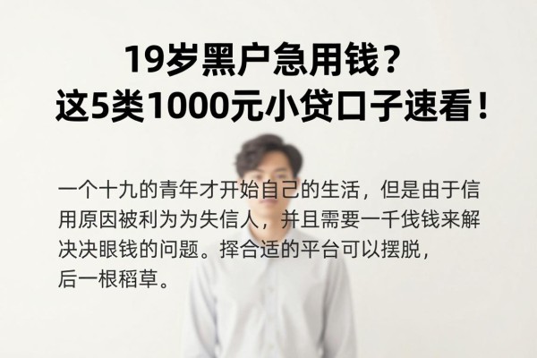 19岁黑户急用钱?这5类1000元小贷口子速看!