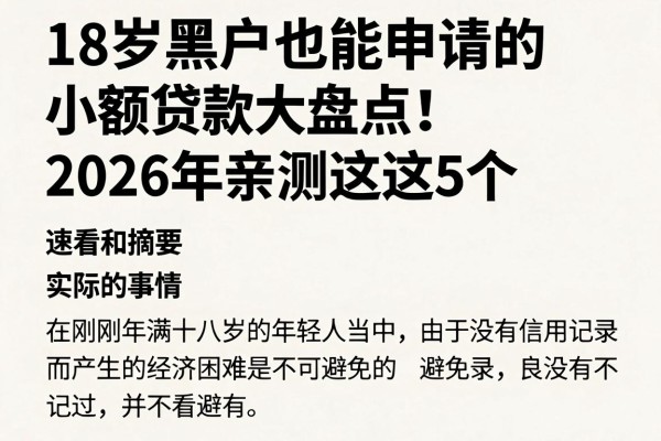 18岁黑户也能申请的小额贷款大盘点!2026年亲测这5个,速看