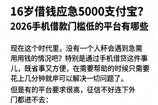 16岁借钱应急5000支付宝?2026手机借款门槛低的平台有哪些