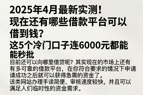 2025年4月最新实测!现在还有哪些借款平台可以借到钱?这5个冷门口子连6000元都能秒批