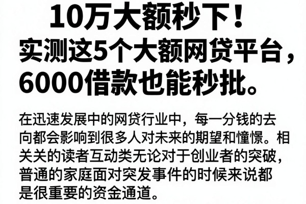 10万大额秒下!实测这5个大额网贷平台,6000借款也能秒批
