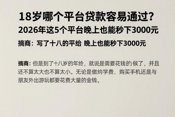 18岁哪个平台贷款容易通过？2026年这5个平台晚上也能秒下3000元