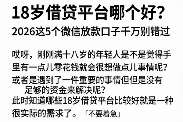 18岁借贷平台哪个好？2026这5个微信放款口子千万别错过