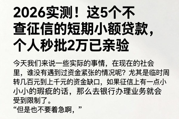 2026实测!这5个不查征信的短期小额贷款,个人秒批2万已亲验