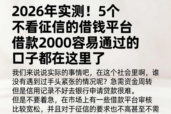 2026年实测!5个不看征信的借钱平台,借款2000容易通过的口子都在这里了