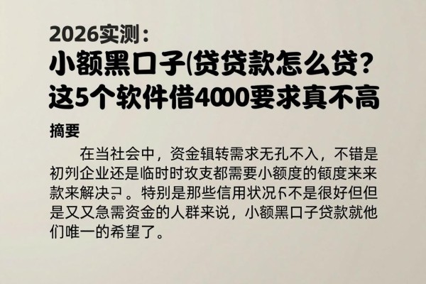 2026实测:小额黑口子贷款怎么贷?这5个软件借4000要求真不高