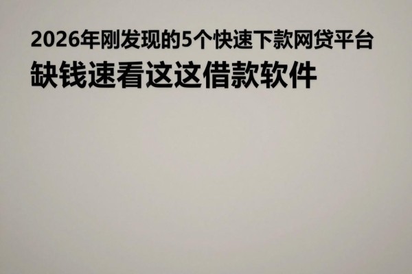 2026年刚发现的5个快速下款网贷平台，缺钱速看这些借款软件