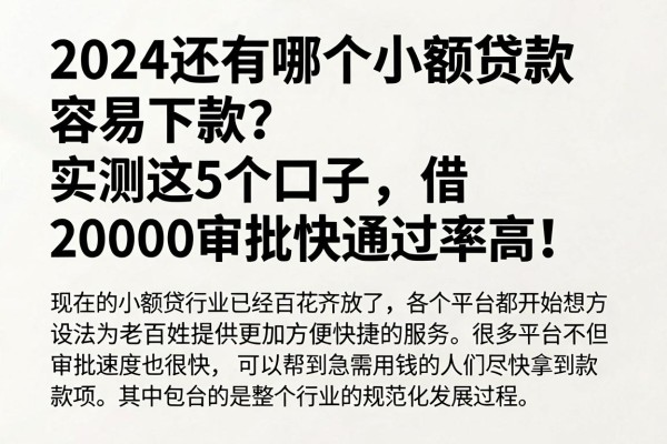 2024还有哪个小额贷款容易下款?实测这5个口子,借20000审批快通过率高!