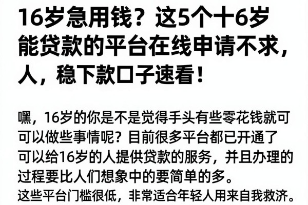 16岁急用钱?这5个十6岁能贷款的平台在线申请不求人,稳下款口子速看