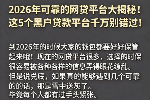 2026年可靠的网贷平台大揭秘！这5个黑户贷款平台千万别错过