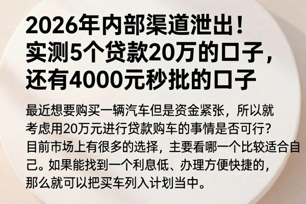 2026年内部渠道泄出！实测5个贷款20万的口子，还有4000元秒批的口子