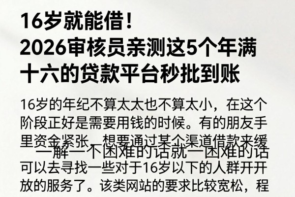 16岁就能借！2026审核员亲测这5个年满十六的贷款平台秒批到账