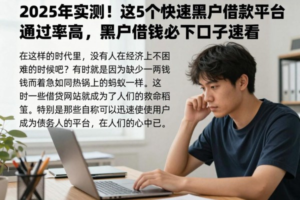 2025年实测！这5个快速黑户借款平台通过率高，黑户借钱必下口子速看