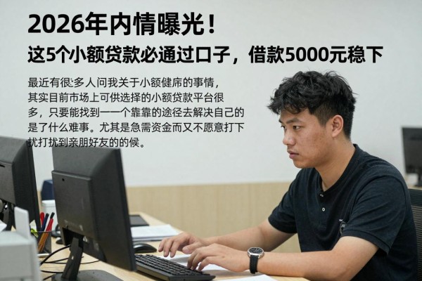 2026年内情曝光!这5个小额贷款必通过口子,借款5000元稳下