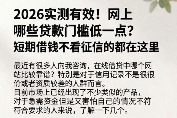 2026实测有效!网上哪些贷款门槛低一点?短期借钱不看征信的都在这里