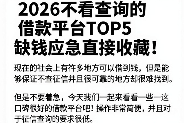 2026不看查询的借款平台TOP5,缺钱应急直接收藏!