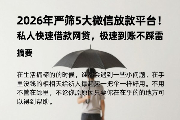 2026年严筛5大微信放款平台！私人快速借款网贷，极速到账不踩雷