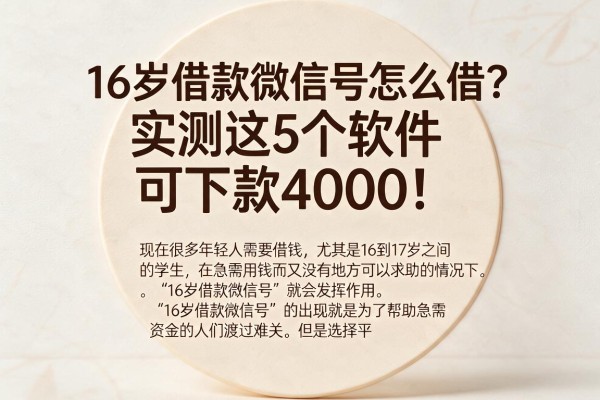 16岁借款微信号怎么借？实测这5个软件可下款4000！