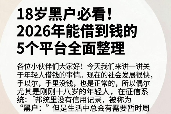 18岁黑户必看!2026年能借到钱的5个平台全面整理