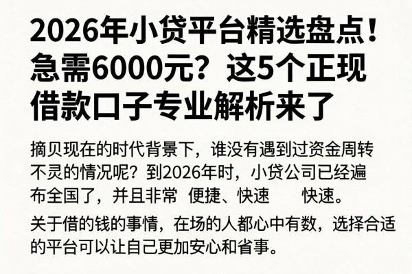 2026年小贷平台精选盘点！急需6000元？这5个正规借款口子专业解析来了