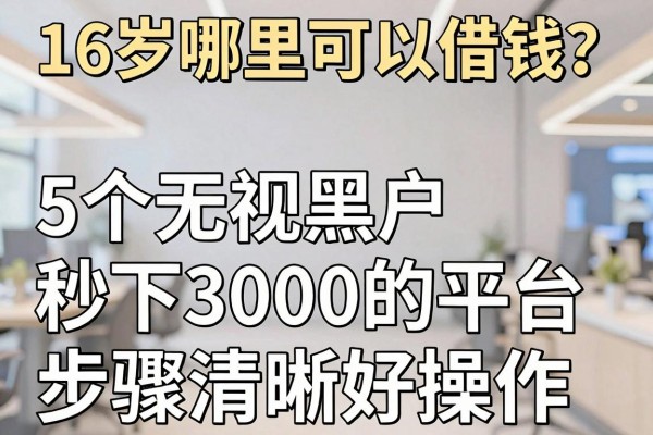 16岁哪里可以借钱?5个无视黑户秒下3000的平台步骤清晰好操作