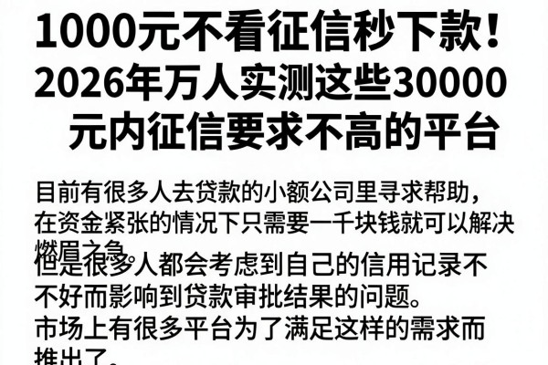 1000元不看征信秒下款!2026年万人实测这些30000元内征信要求不高的平台