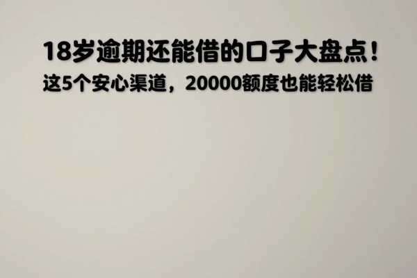 18岁逾期还能借的口子大盘点!这5个安心渠道,20000额度也能轻松借