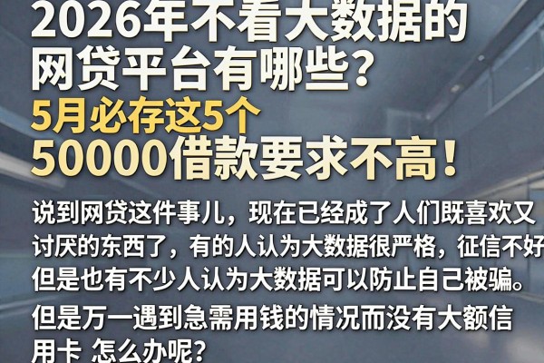 2026年不看大数据的网贷平台有哪些？5月必存这5个，50000借款要求不高！
