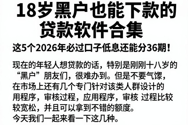18岁黑户也能下款的贷款软件合集,这5个2026年必过口子低息还能分36期!
