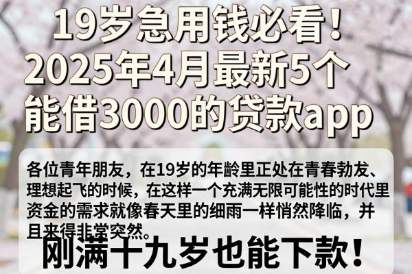 19岁急用钱必看!2025年4月最新5个能借3000的贷款app,刚满十九岁也能下款