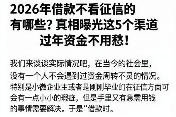 2026年借款不看征信的有哪些?真相曝光这5个渠道,过年资金不用愁!
