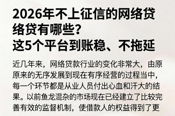 2026年不上征信的网络贷有哪些?这5个平台到账稳、不拖延