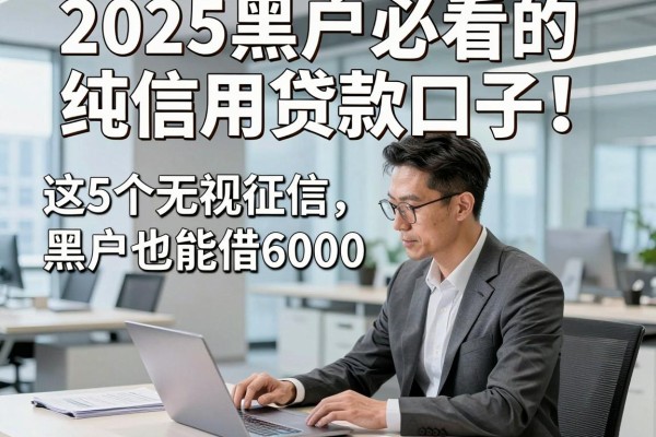 2025黑户必看的纯信用贷款口子！这5个无视征信，黑户也能借6000