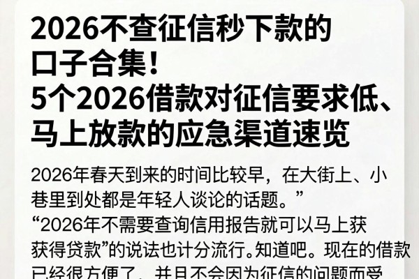2026不查征信秒下款的口子合集!5个2026借款对征信要求低、马上放款的应急渠道速览