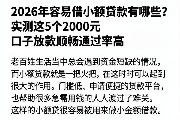 2026年容易借小额贷款有哪些?实测这5个2000元口子放款顺畅通过率高
