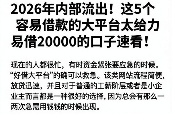 2026年内部流出!这5个容易借款的大平台太给力,易借20000的口子速看