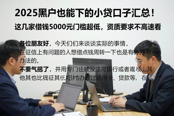 2025黑户也能下的小贷口子汇总!这几家借钱5000元门槛超低,资质要求不高速看