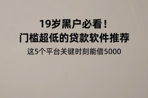 19岁黑户必看!门槛超低的贷款软件推荐,这5个平台关键时刻能借5000
