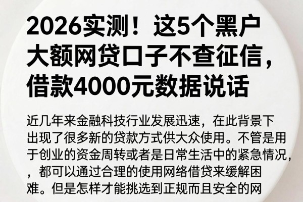 2026实测!这5个黑户大额网贷口子不查征信,借款4000元数据说话