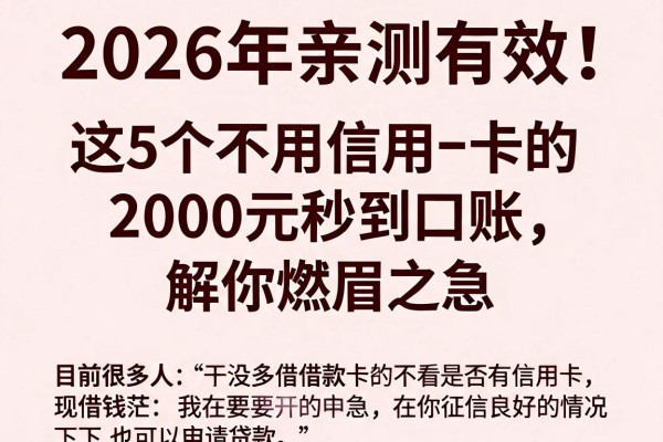 2026年亲测有效!这5个不用信用卡的借款口子,2000元秒到账解你燃眉之急