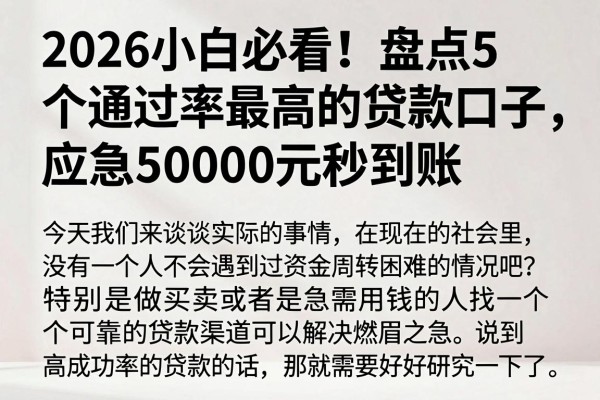 2026小白必看!盘点5个通过率最高的贷款口子,应急50000元秒到账