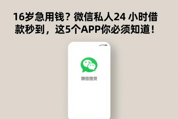 16岁急用钱?微信私人24小时借款秒到,这5个APP你必须知道!