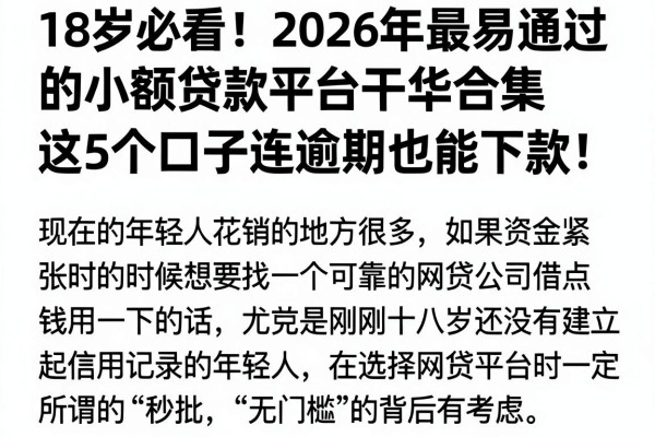 18岁必看!2026年最易通过的小额贷款平台干货合集,这5个口子连逾期也能下款!