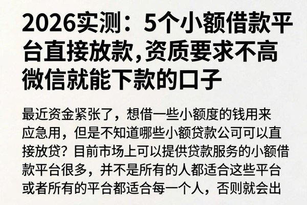 2026实测:5个小额借款平台直接放款,资质要求不高微信就能下款的口子