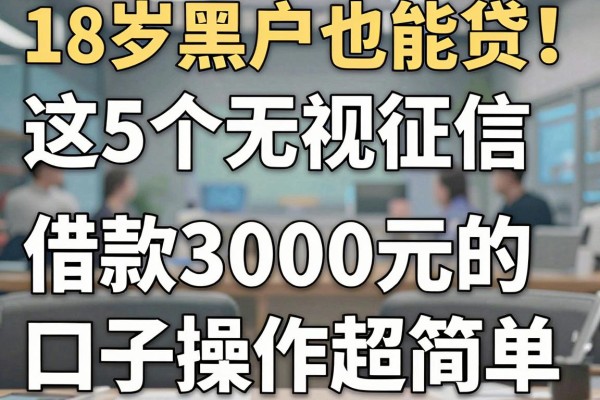 18岁黑户也能贷!这5个无视征信、借款3000元的口子操作超简单
