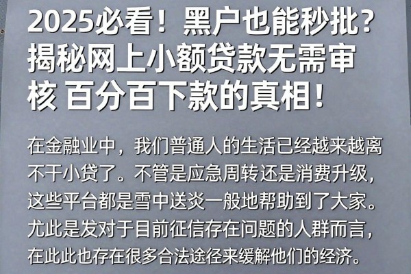 2025必看!黑户也能秒批?揭秘网上小额贷款无需审核百分百下款的真相