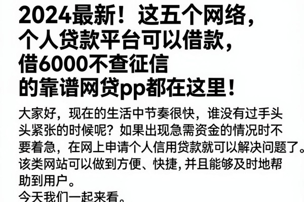 2024最新!这五个网络个人贷款平台可以借款,借6000不查征信的靠谱网贷app都在这里