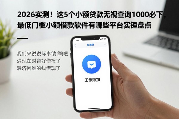 2026实测!这5个小额贷款无视查询1000必下,最低门槛小额借款软件有哪些平台实锤盘点