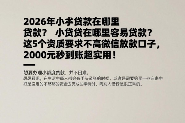 2026年小额贷款在哪里容易贷款?这5个资质要求不高的微信放款口子,2000元秒到账超实用!